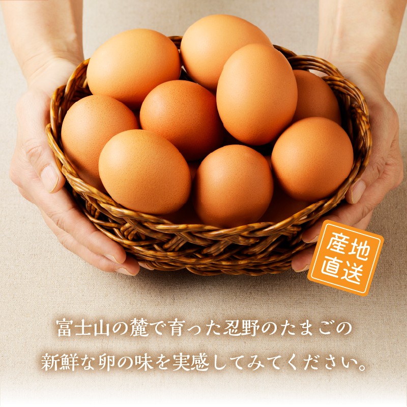 富士山の麓で育った産地直送 ”忍野の卵”※卵75個+割れ保証5個　計80個