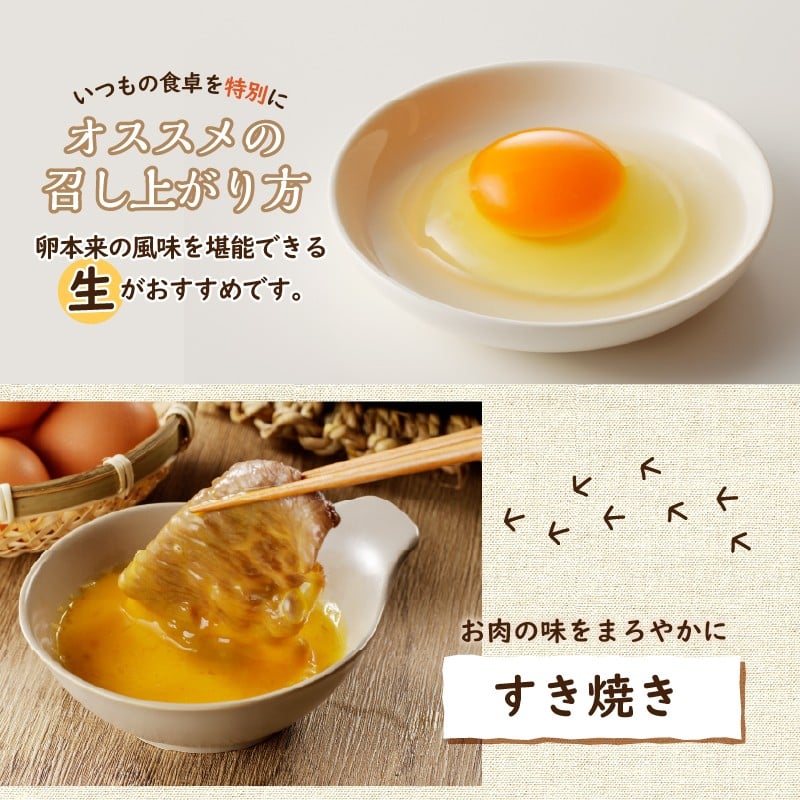 富士山の麓で育った産地直送 ”忍野の卵”※卵25個+割れ保証5個 計30個