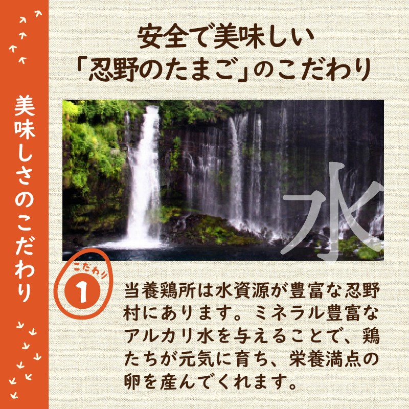 富士山の麓で育った産地直送 ”忍野の卵”※卵25個+割れ保証5個 計30個