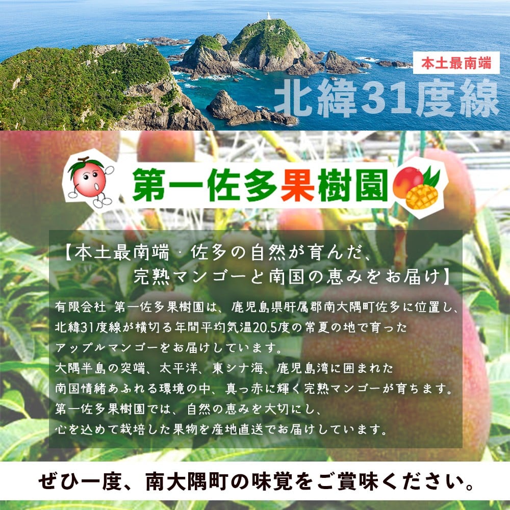 【先行予約】 ☆本土最南端☆佐多の果樹園で育てた 完熟アップルマンゴー 800g ( 2玉 ) 【2026年7月上旬以降順次発送】 ST-406 ｜鹿児島県 南大隅 産地直送 旬 マンゴー フルーツ 果物 くだもの アップルマンゴー 詰め合わせ セット 数量限定