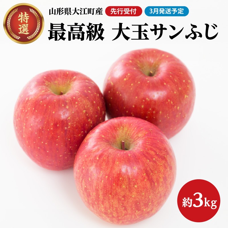 《先行受付》【2026年3月発送予定】 最高級 特選大玉サンふじ約3kg【大江町産・山形りんご・大地農産】 【028-035】