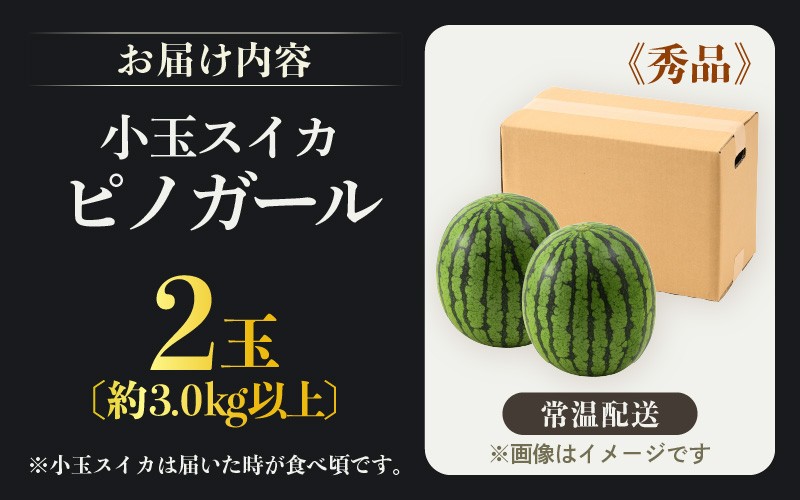 【先行予約】佐藤農園の小玉スイカ ピノガール 2玉（計3kg以上）／福井県 あわら市 フルーツ 夏 果物 西瓜  秀品 農家直送 有機肥料 低農薬 佐藤農園※2026年6月上旬より順次発送予定 [aw069-a008]