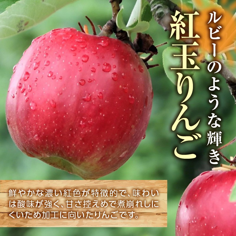 ≪先行受付≫紅玉りんご5kg 18個~25個 特秀【2026年10月下旬~順次発送予定】 【057-003】