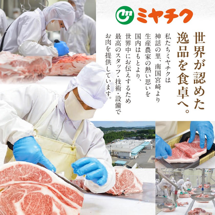 【2026年8月お届け】宮崎県産豚肉たっぷり4.2kgセット_19E-N201-2608_(都城市)   ギャル曽根さんおすすめの豚肉返礼品 豚肉