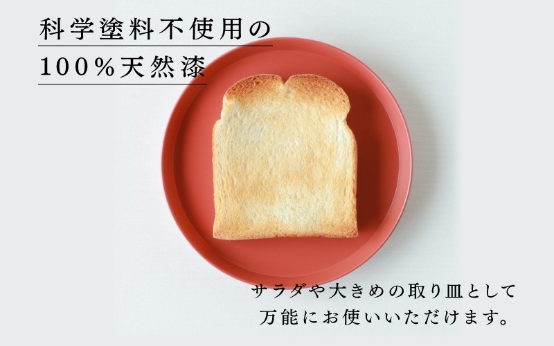 【選べるカラー！】【RIN&CO.】越前硬漆 平皿M / 真塗り技法 軽く丈夫な漆塗りの器＜越前漆器＞ ブラック（真塗り）[C-03810] /平皿 丸皿 プレート皿 ワンプレート 食器 取り皿 食洗機対応 おしゃれ ギフト 福井県鯖江市