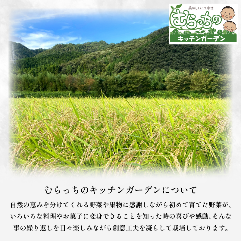 【先行予約】令和7年産 米 玄米 2kg （ 2kg × 1袋 ） アキサカリ 令和7年度産 新米 1袋2kg 小分け お米 精米 健康 こめ ごはん ご飯 白飯 ゴハン コメ 吉野川 徳島県 吉野川市