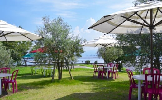 『江田島オリーブファクトリー』 商品券 5000円分（1000円分×5枚） オリーブオイル 食用油 国産 広島県産 エキストラバージン エクストラバージン おりーぶおいる おいる オリーブ油 油 調味料 食用油 ヘルシー 健康 国産 広島県産 贈答 ギフト オリーブオイル リピート ギフト プレゼント 贈答 人気 高品質 好評 広島県産 江田島市/山本倶楽部株式会社 [XAJ095]