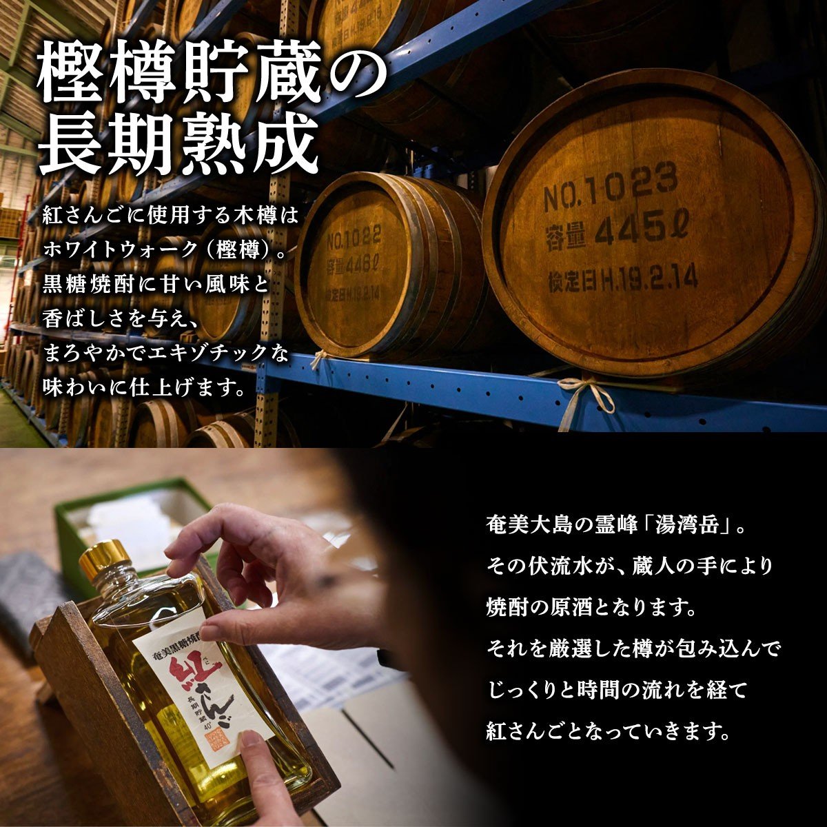 黒糖焼酎紅さんご 箱入り720ml 【定期便】2本×12回 毎月お届け ホワイトオーク 樽 長期熟成 焼酎 お酒 奄美大島 宇検村 鹿児島 奄美大島開運酒造