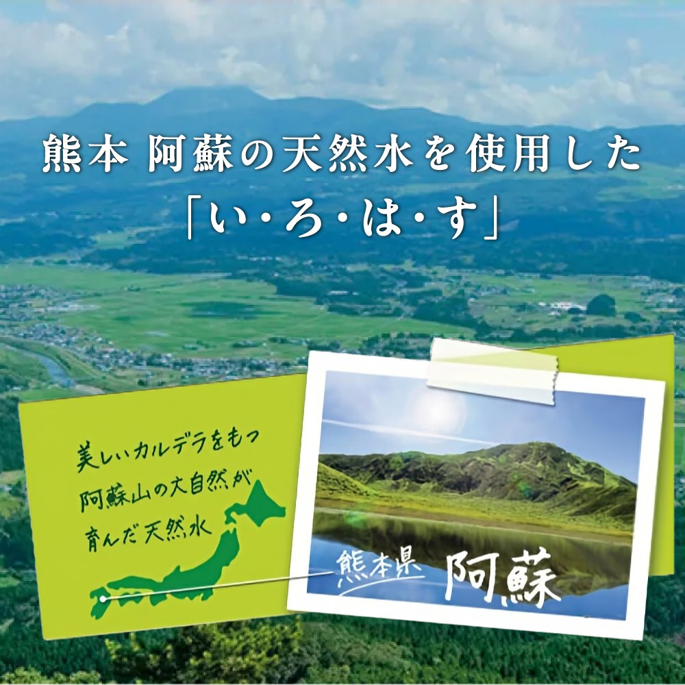 【全6回定期便】い・ろ・は・す 阿蘇の 天然水 2L×6本＋540ml×24本 各1ケース 計180本 【コカ・コーラボトラーズジャパン株式会社】 水 ミネラルウォーター 飲料水 コカコーラ ドリンク 2l 2L 540ml ペットボトル 天然水 定期便 [AYAA028]