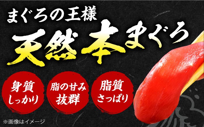 まぐろ 極上！たね熟天然本まぐろ赤身(320g) まぐろ マグロ 鮪 赤身 刺身 マグロ 鮪 赤身 トロ とろ 刺身 小分け 柵 冷凍 海鮮 新鮮 大阪府高槻市/本まぐろ直売所 [AOCE001] 本マグロ 赤身 中トロ 大トロ 刺身 寿司 海鮮 旨み 脂のり 切り身 鮮度抜群 海鮮丼 お取り寄せ 高級魚 ギフト 贈答用 海の幸 家飲み ごちそう おつまみ 炙り丼 手巻き寿司 お祝い パーティー