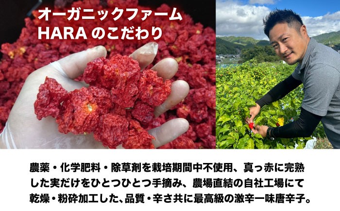 キャロライナリーパー 超激辛一味唐辛子 4g×2個セット(計8g) キャロライナリーパー 唐辛子 調味料 一味唐辛子 国産 香り 調味料 スパイス 一味唐辛子 唐辛子 キャロライナリーパー 国産 激辛 大阪府高槻市/末延農園HARA [AOBE001] 超激辛スパイス 唐辛子粉 調理用 香辛料 国産唐辛子 ピリ辛 料理アレンジ 一味粉 手作り料理 激辛愛好家 調味料セット 家庭用 保存便利 人気