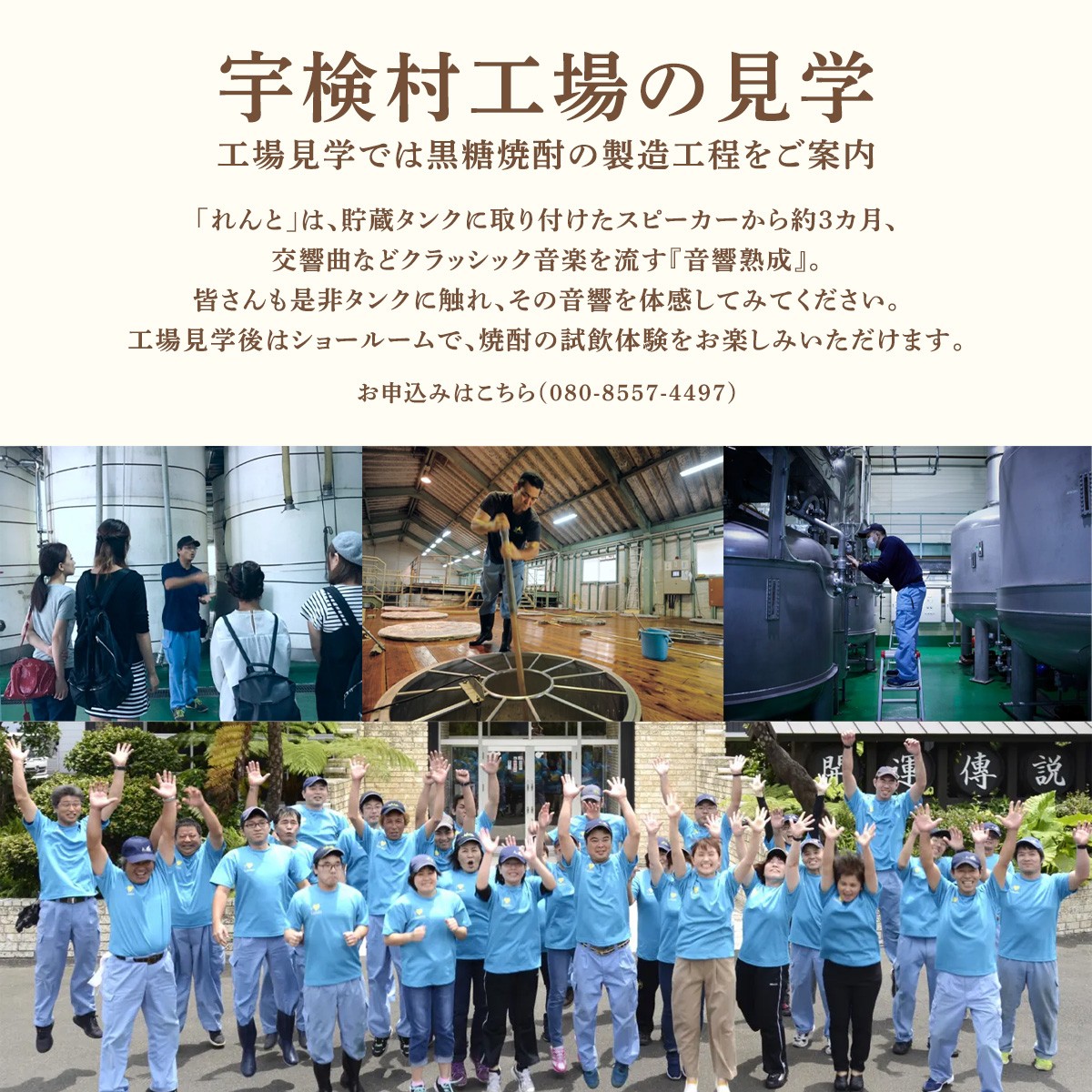 奄美黒糖焼酎 れんと ( 原酒&れんと 飲み比べセット) (700ml) 焼酎 お酒 奄美大島 宇検村 鹿児島 奄美大島開運酒造