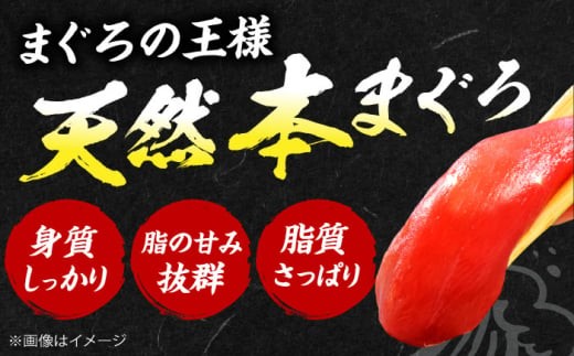 【全6回定期便】極上！たね熟天然本まぐろ中トロ(640g) 天然 マグロ 鮪 中トロ 刺身 魚 魚介 魚介類 海鮮丼 本マグロ 本まぐろ 本鮪 中とろ 中トロ 冷凍 お刺身 お寿司 大阪府高槻市/本まぐろ直売所 [AOCE035] 本マグロ 刺身 寿司 海鮮 旨み 切り身 鮮度抜群 海鮮丼 お取り寄せ 高級魚 ギフト 贈答用 海の幸 家飲み ごちそう おつまみ 炙り 手巻き寿司 お祝い パーティー