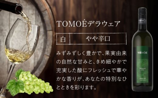 【スピード発送】ワインセット ～ソムリエが選ぶ～冷やして飲みたい絶品 白ワイン 3本セット 白ワイン 受賞 飲み比べ お酒 地酒 洋酒 テイスティング ソムリエ 広島県三次市産 国産 ぶどう 葡萄 ブドウ ギフト 贈答 プレゼント お取り寄せ ご当地 みよし 三好 記念日 誕生日 クリスマスパーティー 産地直送 人気 三次市/広島三次ワイナリー [APAZ032] 
