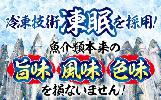 【ふっくら香ばしい】鰆の炙り満腹セット＜秋宝丸＞江田島市 [XCK003] さわら サワラ 魚 料理 和食 簡単 魚介類 海産物 海鮮 刺身 ギフト 海鮮 魚介類 冷凍 水産加工品 海藻 鮮魚 さかな 刺身 詰め合わせ セット 小分け 海鮮丼 加工品 惣菜 刺身 真空パック 小分け 料理 和食 時短 便利 ギフト 広島県産 人気 