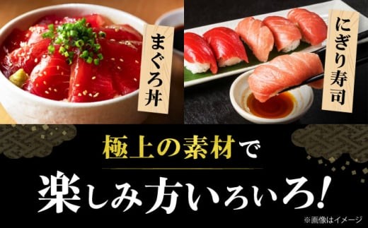 【全12回定期便】極上！たね熟天然本まぐろ中トロ(960g) 天然 マグロ 鮪 中トロ 刺身 魚 魚介 魚介類 海鮮丼 本マグロ 本まぐろ 本鮪 中とろ 中トロ 冷凍 お刺身 お寿司 大阪府高槻市/本まぐろ直売所 [AOCE039] 本マグロ 刺身 寿司 海鮮 旨み 切り身 鮮度抜群 海鮮丼 お取り寄せ 高級魚 ギフト 贈答用 海の幸 家飲み ごちそう おつまみ 手巻き寿司 お祝い パーティー