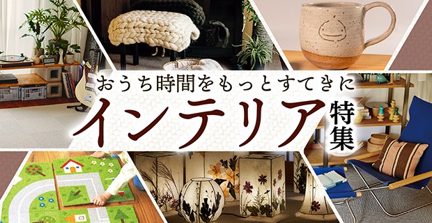 【 令和7年産 新米 5kg 定期便 3ヶ月 】 きぬひかり 米 玄米 国産 滋賀県 日野町 農家直送 お米 おこめ こめ 産地直送 ふるさと納税