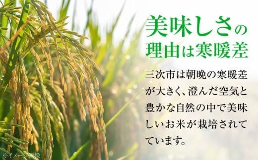 【スピード発送】 米 新米 こしひかり 5kg  白米 泉水の米 お米 令和7年産 R7米ご飯 精米 kome コシヒカリ ごはん ご飯 ライス 白飯 おこめ こめ おいしいお米 銘柄米 ブランド米 食卓 主食 食事 料理 自炊 お弁当 おにぎり おむすび 朝食 粘り 甘み つや 小分け  おいしい 送料無料 産地直送 国産 広島県産 広島 三次 三次市/泉水ファームふくしま [APAJ006]