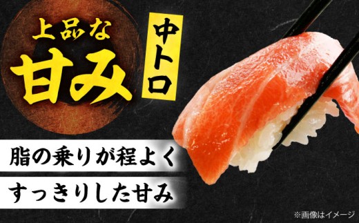 【全12回定期便】極上！たね熟天然本まぐろ中トロ(960g) 天然 マグロ 鮪 中トロ 刺身 魚 魚介 魚介類 海鮮丼 本マグロ 本まぐろ 本鮪 中とろ 中トロ 冷凍 お刺身 お寿司 大阪府高槻市/本まぐろ直売所 [AOCE039] 本マグロ 刺身 寿司 海鮮 旨み 切り身 鮮度抜群 海鮮丼 お取り寄せ 高級魚 ギフト 贈答用 海の幸 家飲み ごちそう おつまみ 手巻き寿司 お祝い パーティー