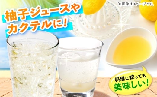 【訳あり】【先行予約】【11月中旬から12月中旬に順次発送】 種なし柚子 約1.7kg（約20個から40個）ゆず 種無し ユズ 訳あり 家庭用 柚子 種なし 広島県産 広島みよし 特産品 産地直送 お取り寄せ 贈り物 ギフト 贈答品 絶品 銘品 三次グルメ 柑橘 芳香 柚子 種なし ゆず茶 料理  三次市/小さなくだもの畑 [APAQ003]