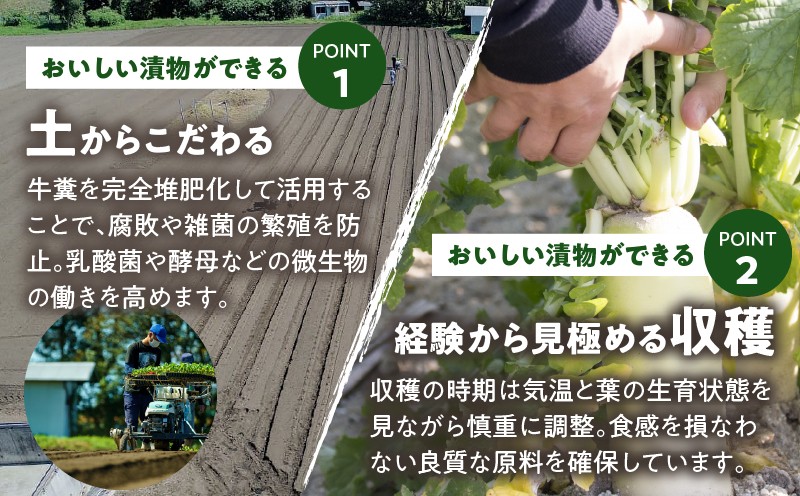 \ポスト投函/ひとくちかつお(230g) 漬物 おかず 野菜 加工品 国産_T025-011