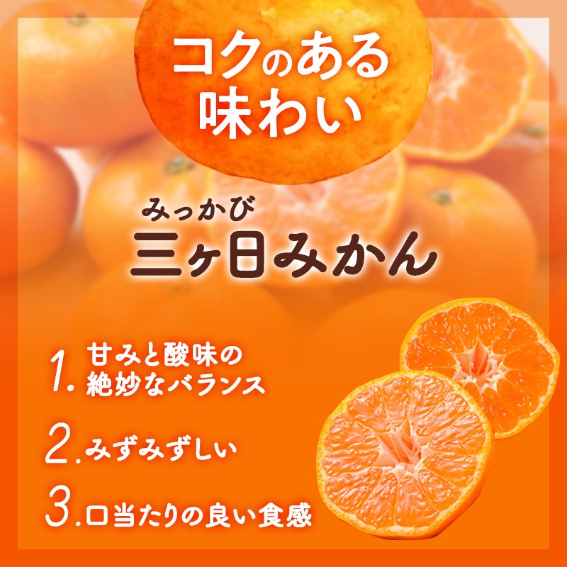 三ヶ日みかん 青島 3kg L又は2L 1月中旬より順次発送 みかん ミカン 蜜柑 青島みかん 三ヶ日 果物 くだもの フルーツ 旬の果物 旬のフルーツ 柑橘 柑橘類 糖度 静岡 静岡県 浜松市 [№5786-5342]
