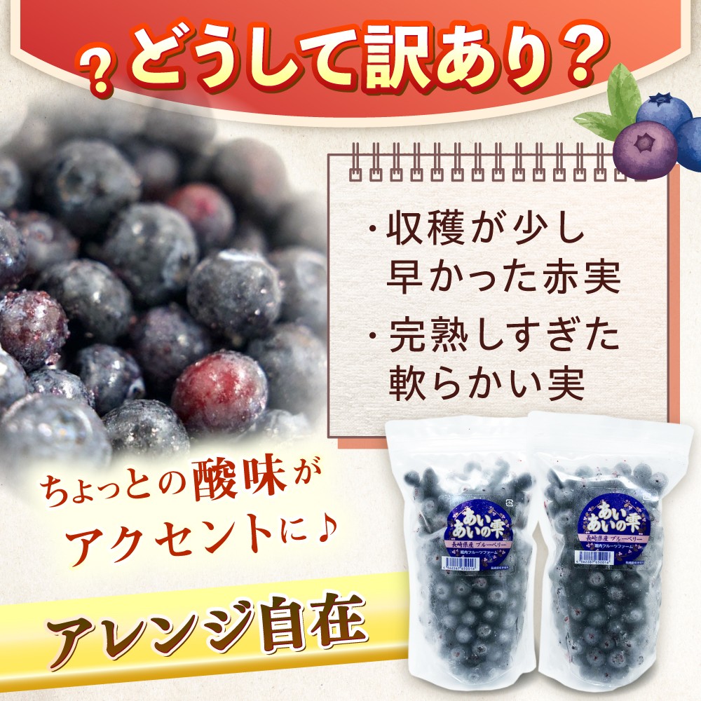 【訳あり】冷凍 ブルーベリー 計1kg 果物 ブルーベリー フルーツ 小分け 冷凍 ブルーベリー 大粒 ぶるーべりー 国産【堀内フルーツファーム】 [QAT019] / 長崎県 佐々町