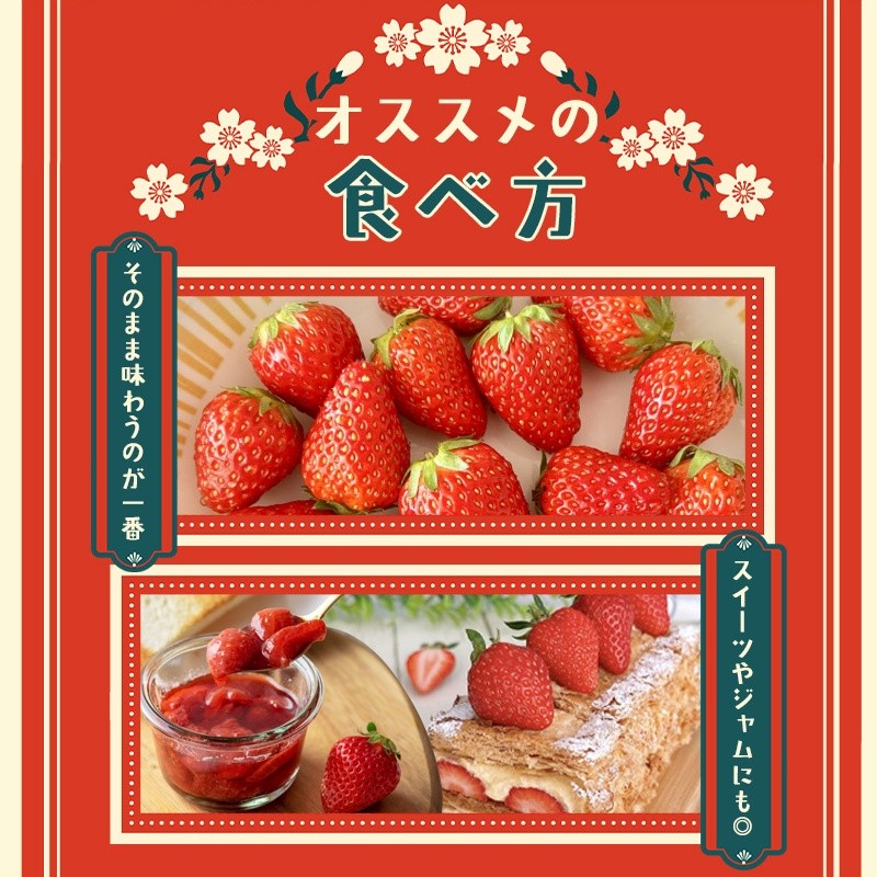 古都華 いちご 苺 イチゴ 古都華 S～Mサイズ 270g×2パック ／ 西田農園 ブランド いちご 苺 ことか フルーツ 果物 奈良県 葛城市【nsdf001】