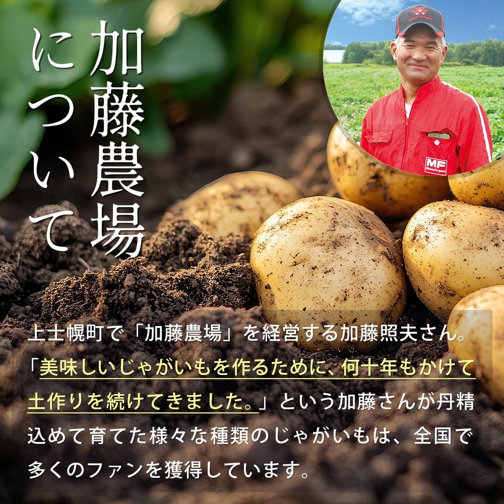 北海道産 カラフル じゃがいも 3種セット 計6kg（2kg×3種） 北海道 上士幌町 加藤農場 野菜 ジャガイモ 馬鈴薯 産地直送 ◆2025年12月配送予定 ［009-V70］ ※オンライン申請対応