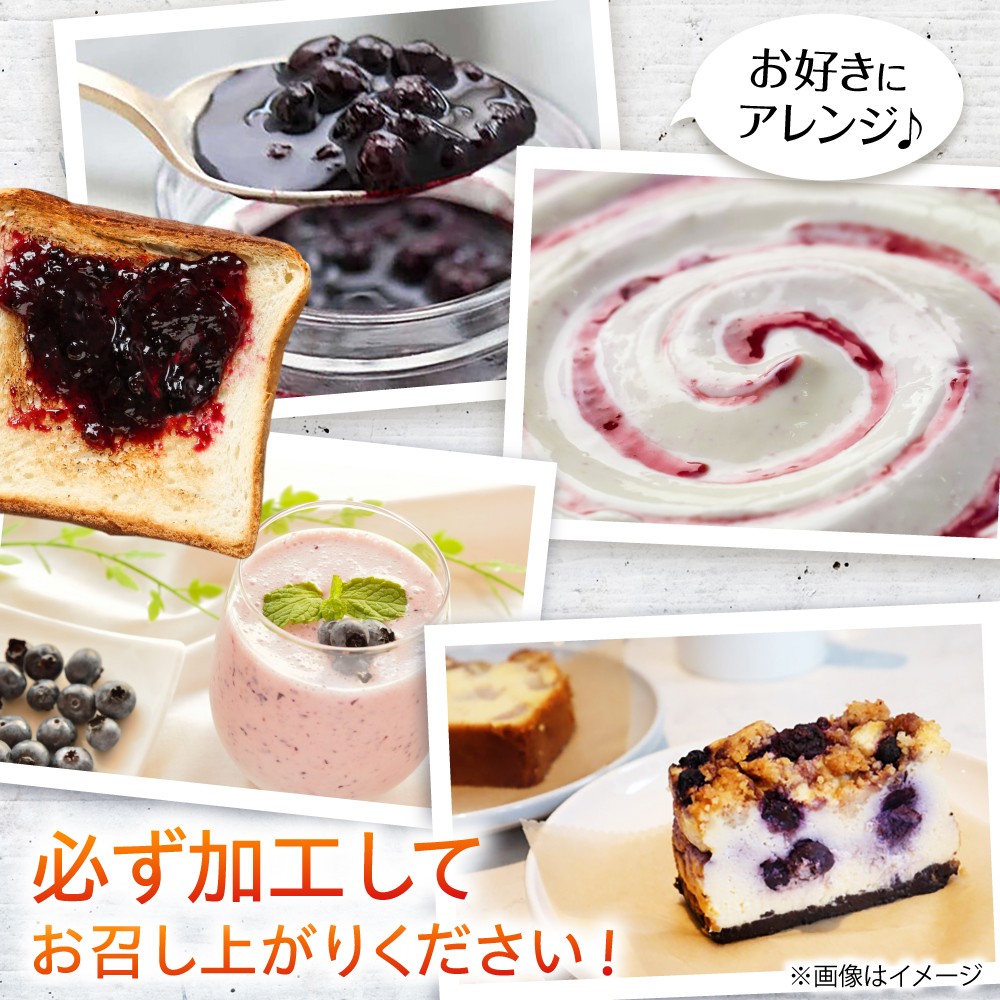 【訳あり】冷凍 ブルーベリー 計1kg 果物 ブルーベリー フルーツ 小分け 冷凍 ブルーベリー 大粒 ぶるーべりー 国産【堀内フルーツファーム】 [QAT019] / 長崎県 佐々町