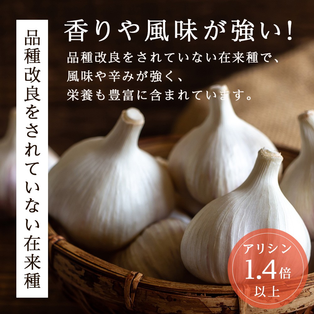 2026年分予約開始！ 【数量限定】渋谷さん家の「無農薬 にんにく MIXサイズ 200gx5袋」