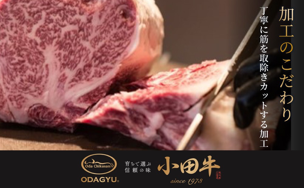 【全12回】プレミアムブランド「小田牛」定期便［～雅～］ 鹿児島県産 黒毛和牛 ステーキ すき焼き 焼肉 焼き肉 BBQ ハンバーグ ローストビーフ 餃子 ぎょうざ 焼売 しゅうまい レトルト カレー パスタソース 牛トロ煮込み 常温 冷凍 小田畜産 南さつま市