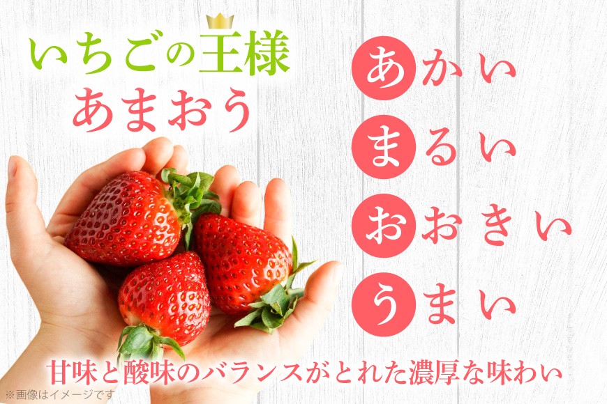 いちご 冷凍 完熟 あまおう 2kg [ストロベリーファーム 福岡県 宇美町 um40azp070000]  イチゴ 苺 フルーツ 冷凍フルーツ 果物 果実 甘い あまい 冷凍いちご 冷凍苺 冷凍イチゴ