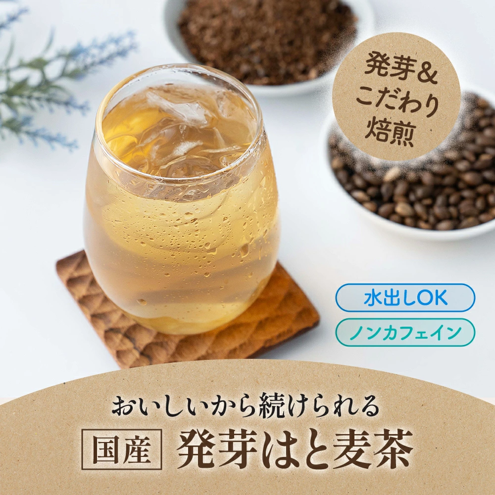 【2か月毎 3回定期便】 麦茶 国産 はと麦茶 60包×2袋