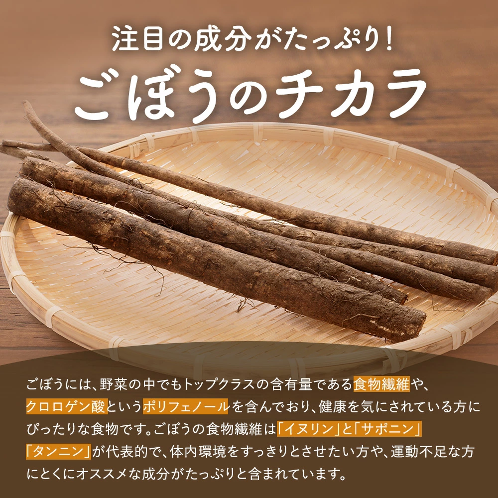 【2ヶ月毎3回定期便】九州産 ごぼう茶 30包 計18袋(6袋×3回)