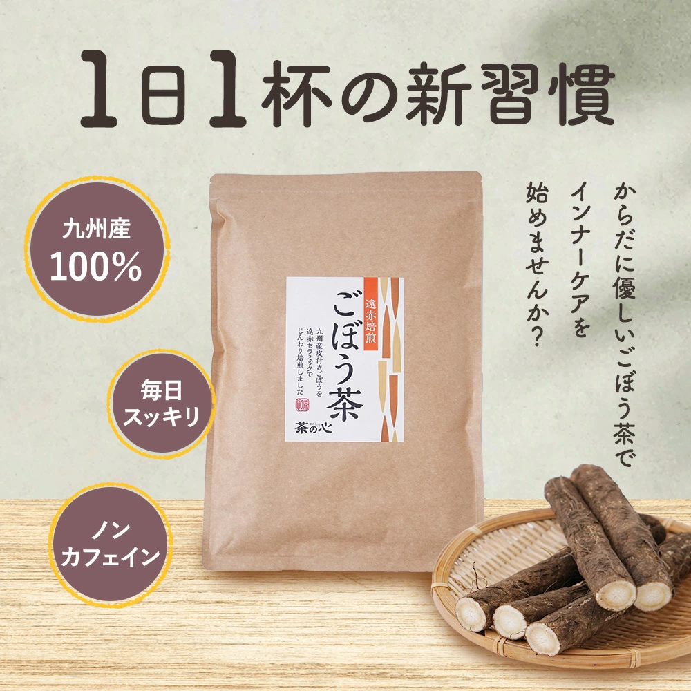 【2ヶ月毎3回定期便】九州産 ごぼう茶 30包 計18袋(6袋×3回)