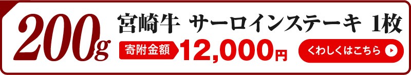 【最速便】宮崎牛 サーロインステーキ 2枚 合計400g_M243-006-2W