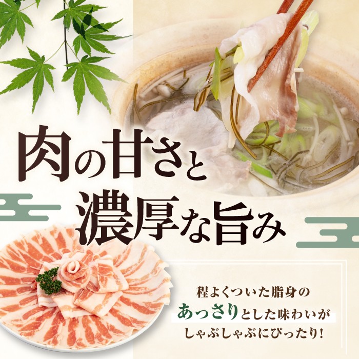 【全3回定期便】平田牧場 しゃぶしゃぶ セット 1kg  (ロース・バラ)  ※だし・昆布ナシ 《喜茂別町》【平田牧場】 肉 豚肉 ロース バラ ロース肉 バラ肉 しゃぶしゃぶ 鍋 定期便 [AJAP181] 54000 54000円