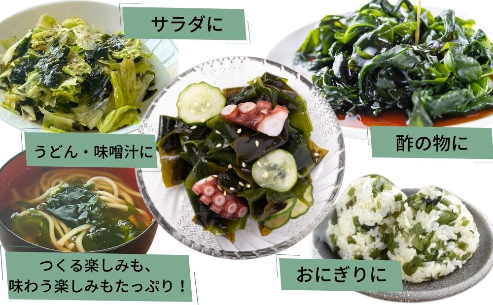 鳴門市里浦産塩蔵わかめ 120ｇ×10袋　鳴門わかめ わかめ 国産 ブランド 人気  味噌汁 みそ汁 スープ サラダ 料理 ギフト