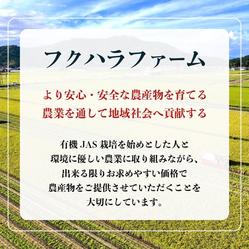 ミルキークイーン 5kg 特別栽培米 令和7年産 新米 米 精米 こめ コメ お米 ご飯 米 ミルキー 5キロ 令和7年 滋賀 彦根