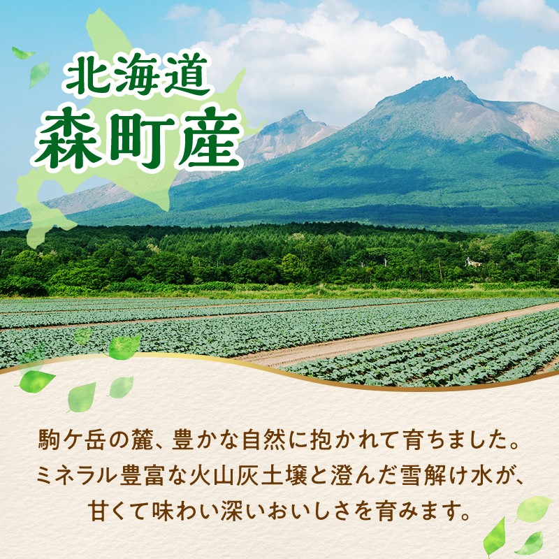 小分け カット済み かぼちゃ 冷凍  3.6kg 北海道森町産 かぼちゃ カボチャ 野菜 小分け カット済み 冷凍 mr1-0996