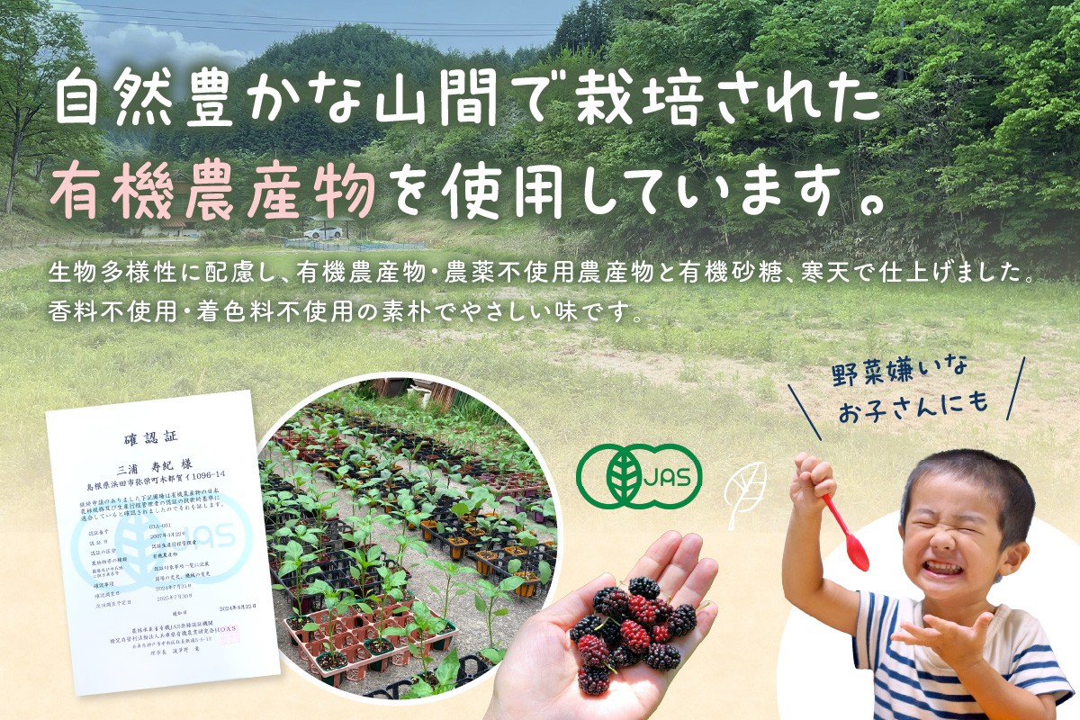 里山アイスセット（6種セット） アイス ジェラート スイーツ セット 6種 詰め合わせ ギフト 贈り物【015_1471】