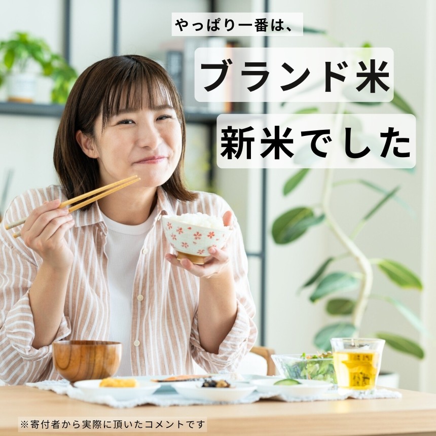【 定期便4回 】令和7年産 こしひかり 15kg ( 無洗米 ) 宮崎県産 | 米 こめ お米 おこめ 精米 白米 宮崎県 五ヶ瀬町
