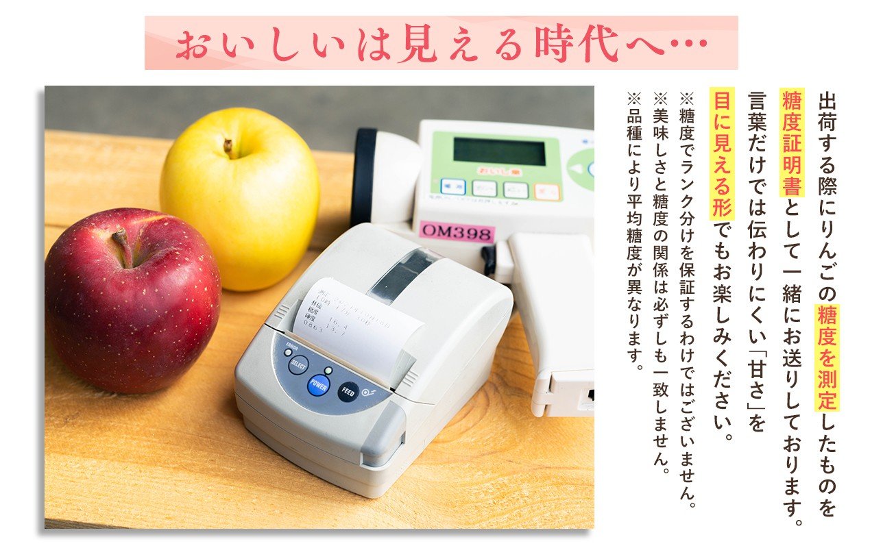 年内発送 【訳あり】家庭用ぐんま名月約3㎏(糖度証明書付き)【青森県 平川市 那由多のりんご園】家庭用  青森 青森県産 平川 りんご リンゴ 林檎 くだもの 果物 フルーツ 名月