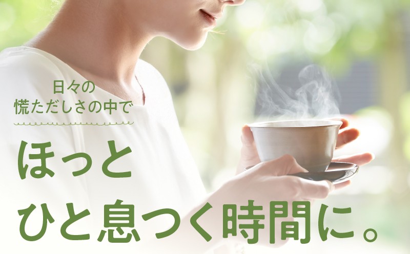 ホッとするね いつものお茶 500g(100g×5本) KN162-002-03