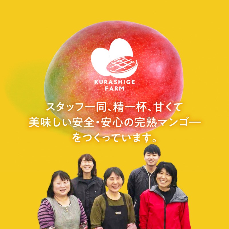 【2026年6月以降お届け】極　完熟マンゴー（2玉：約1.1kg）_完熟マンゴー 2玉 約 1.1kg 久留米産 平均糖度 17度～18度 完熟 マンゴー 国産 フルーツ トロピカルフルーツ 果物 デザート 冷蔵 クール便 お取り寄せ お取り寄せフルーツ 福岡県 久留米市 送料無料_Fm018