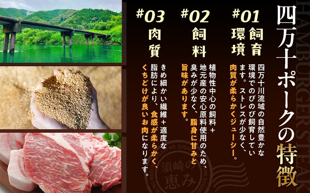 ハンバーグ 四万十ポーク 入り 3.6kg ( 200g × 18個 ) 冷凍 真空 小分け 個包装 肉汁 たっぷり 大容量 大きめ 合挽き 牛肉 豚肉 保存料 不使用 ビーフ ポーク 合いびき肉 挽肉 ジューシー お弁当 おかず 惣菜 晩ごはん 贅沢 ギフト 贈り物 贈答