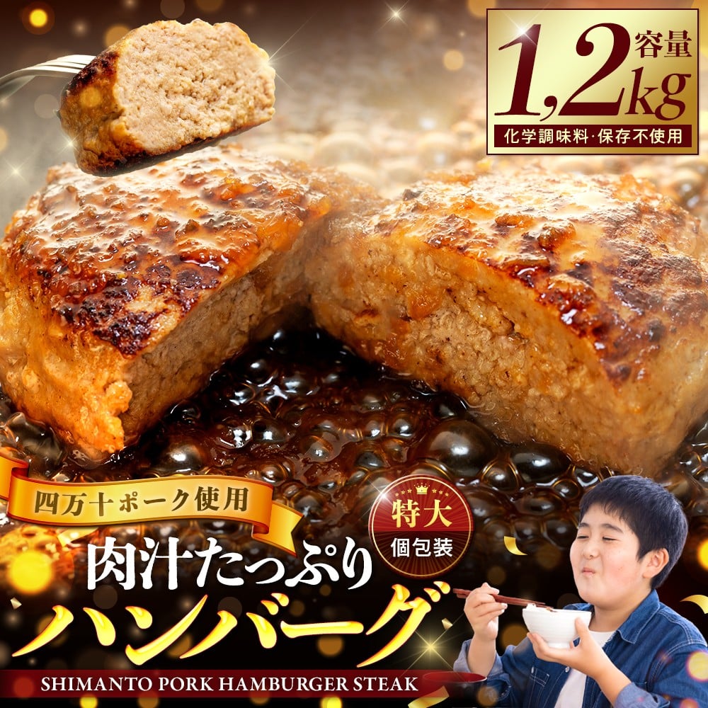 ハンバーグ 四万十ポーク 入り 3.6kg ( 200g × 18個 ) 冷凍 真空 小分け 個包装 肉汁 たっぷり 大容量 大きめ 合挽き 牛肉 豚肉 保存料 不使用 ビーフ ポーク 合いびき肉 挽肉 ジューシー お弁当 おかず 惣菜 晩ごはん 贅沢 ギフト 贈り物 贈答