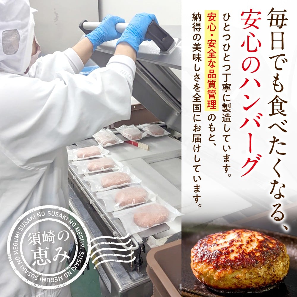 ハンバーグ 四万十ポーク 入り 3.6kg ( 200g × 18個 ) 冷凍 真空 小分け 個包装 肉汁 たっぷり 大容量 大きめ 合挽き 牛肉 豚肉 保存料 不使用 ビーフ ポーク 合いびき肉 挽肉 ジューシー お弁当 おかず 惣菜 晩ごはん 贅沢 ギフト 贈り物 贈答