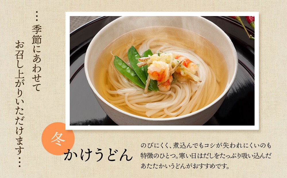 【3回連続定期便】 海津屋　氷見うどんセット 乾麺 定期便 うどん 麺類 富山県 氷見市